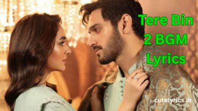 Tere Bin 2 BGM Lyrics || Shani Arshad || Wahaj Ali, Yumna Zaidi
