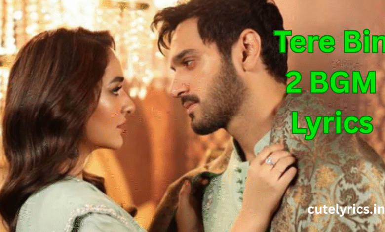 Tere Bin 2 BGM Lyrics || Shani Arshad || Wahaj Ali, Yumna Zaidi
