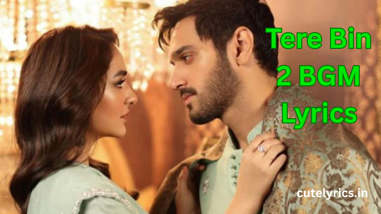 Tere Bin 2 BGM Lyrics || Shani Arshad || Wahaj Ali, Yumna Zaidi