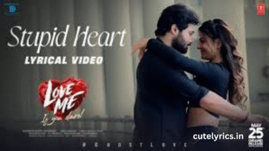 Stupid Heart Song Lyrics – Love Me (2024) | Sai Shreya