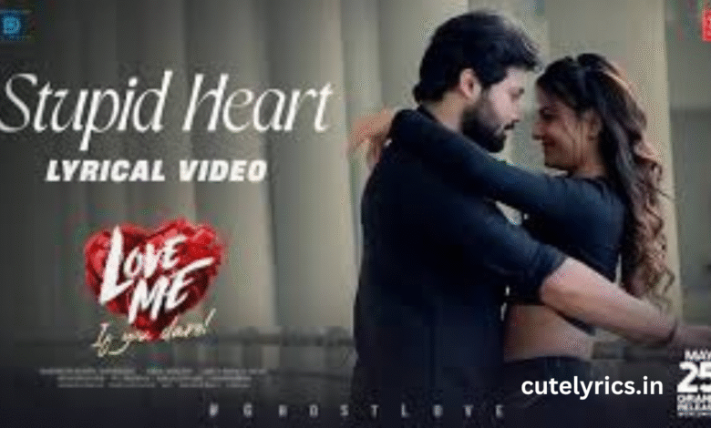 Stupid Heart Song Lyrics – Love Me (2024) | Sai Shreya